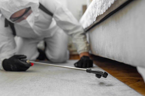 Professional Termite Control technician working in McLouth, KS