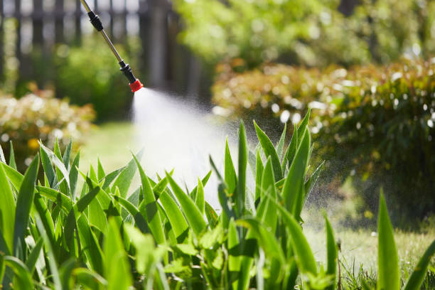 24/7 Emergency Termite Control experts in McLouth, KS