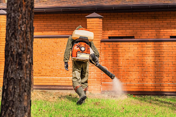 Top rated local Termite Control specialists in McLouth, KS